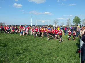 九游网页官网-中国篮球体教融合中学校体育与专业训练的冲突平衡，体教融合是未来体育人才培养选拔的唯一途径