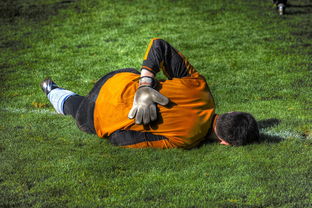 九游体育官网入口-中国足球守门员技术培训中反应速度与位置感提升，足球守门员反应时间