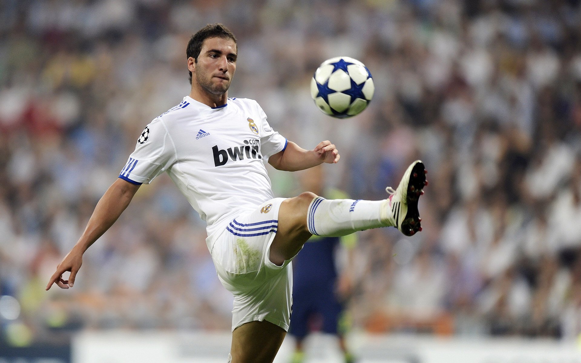 中国足球青训发展亮点纷呈,青少年赛事火热,我国足球青训发展现状